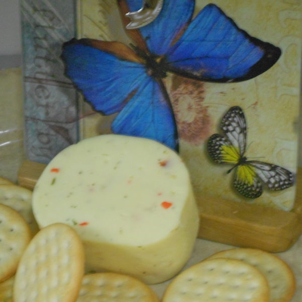 Vegetable Farmers cheese block on a table