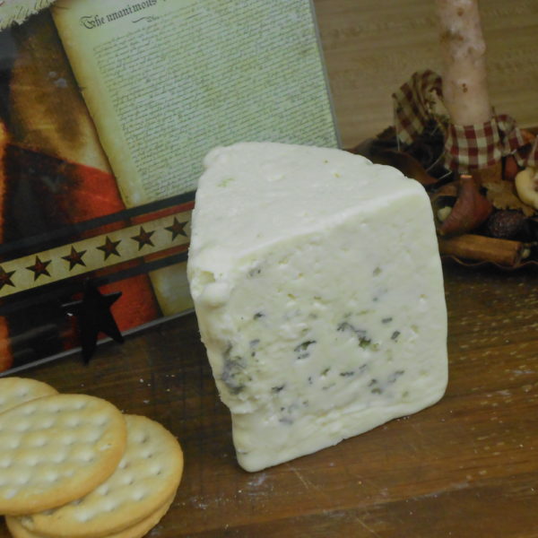 Gorgonzola cheese block on a table